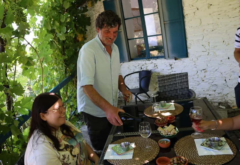 Porto: DOURO VALLEY Half-day Tour - The meeting point and 8-seat van setup that makes the day feel friendly