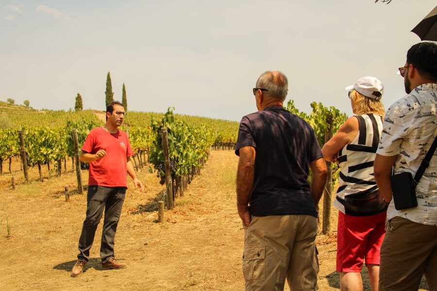 Porto: Douro Valley History & Wine Tour with Cruise & Lunch - Key Things That Make This Douro Tour Worth Your Time