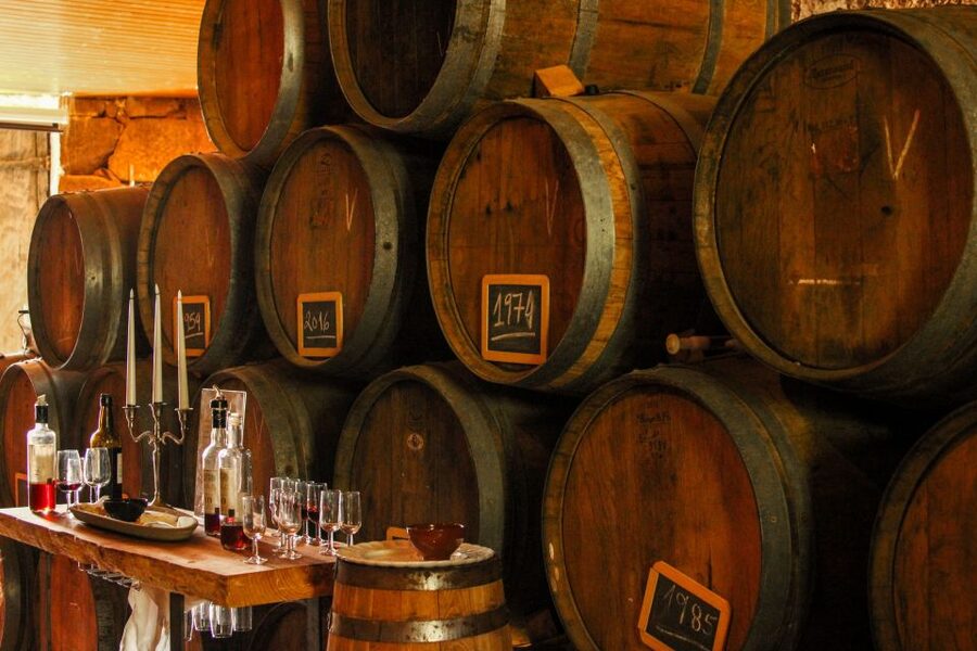 Porto: Douro Valley History & Wine Tour with Cruise & Lunch - Lunch With Douro Wines: What a Traditional 3-Course Meal Gives You