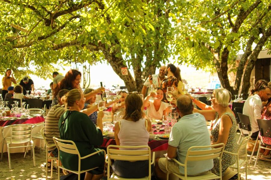 Porto: Douro Valley History & Wine Tour with Cruise & Lunch - Quinta Visit and Port Tastings: How the Day Explains Port Wine
