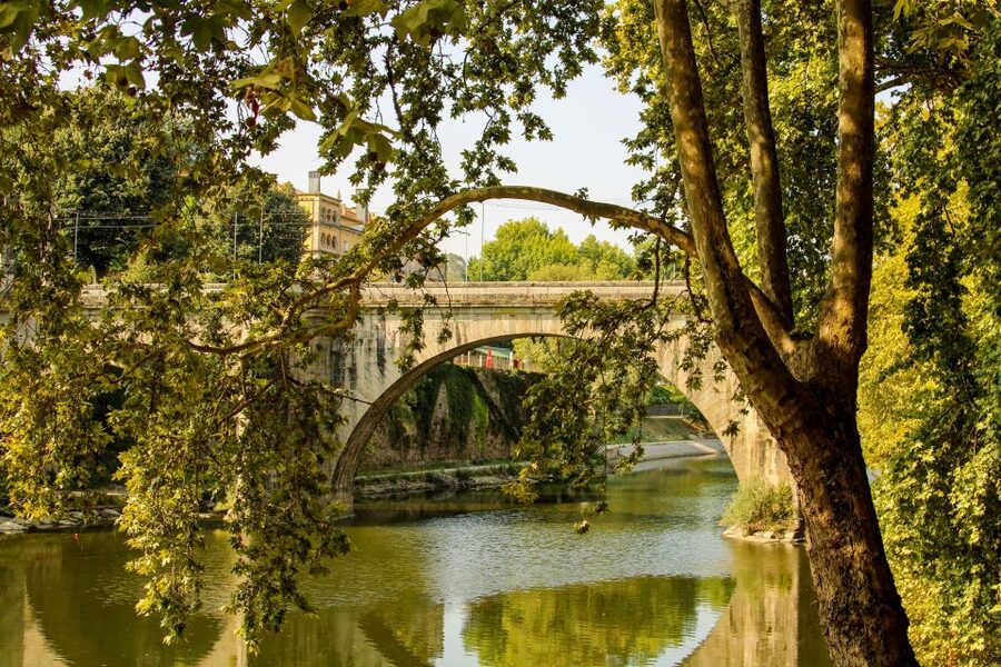 Porto: Douro Valley History & Wine Tour with Cruise & Lunch - Guides, Drivers, and the Small Details That Add Up