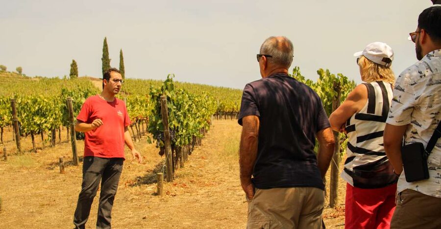 Porto: Douro Valley History & Wine Tour with Cruise & Lunch - Amarante: The City of Love, Sweets, and Art