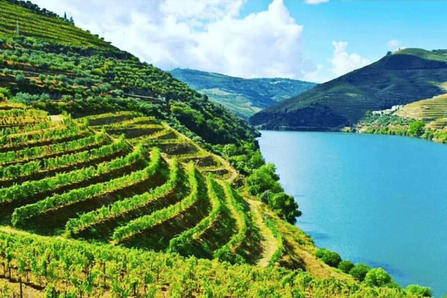 Porto: Douro Valley Tour w/ 3 Tastings, Lunch, & Opt. Cruise - Key Things I’d Highlight Before You Go