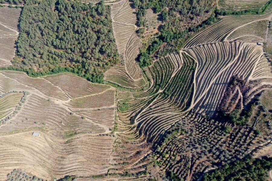 Porto: Douro Valley Tour w/ 3 Tastings, Lunch, & Opt. Cruise - Douro Valley in One Day, What This Tour Does Well