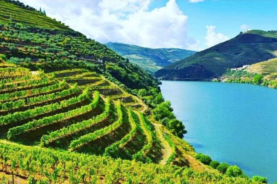 Porto: Douro Valley Tour w/ 3 Tastings, Lunch, & Opt. Cruise - Amarante Stop for Vinho Verde, Cheese, and Green-Green Portugal
