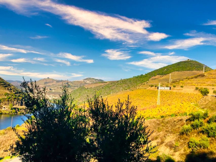 Porto: Douro Valley Tour with 2 Wineries, Lunch and Cruise - Price and Value: What $195 Really Buys You Here
