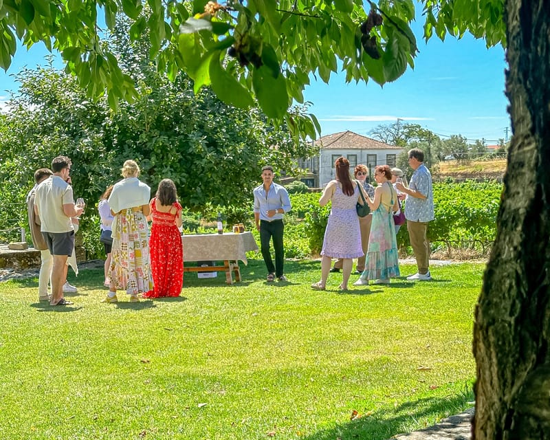 Porto: Douro Valley Tour with 2 Wineries, Lunch and Cruise - A Small-Group Douro Day With the Right Pace