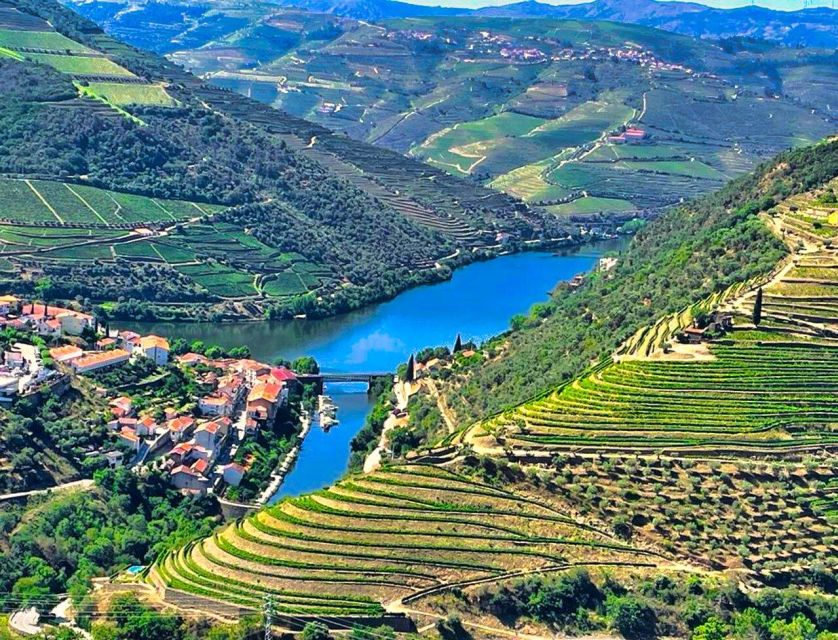 Porto: Douro Valley Tour with 2 Wineries, Lunch and Cruise - Quinta da Avassada: Vineyard Views and a Guided Tasting That Teaches You What to Notice