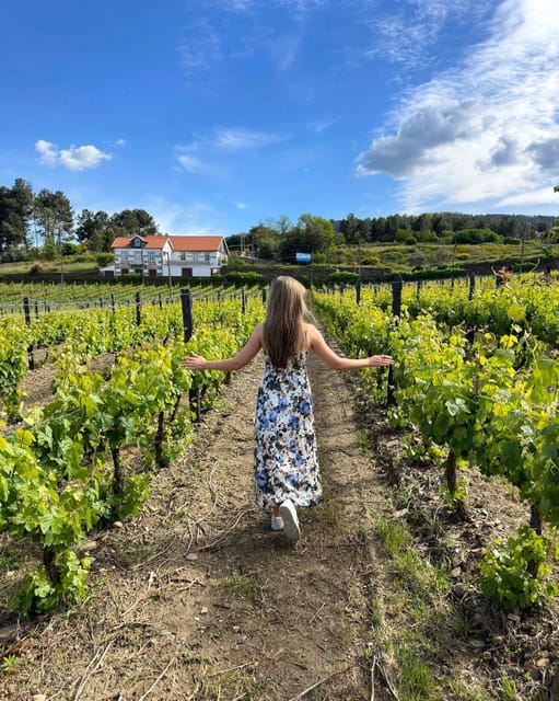 Porto: Douro Valley Tour with 2 Wineries, Lunch and Cruise - Lunch at Quinta de São Luiz: Views, Port Barrels, and Real-Time Flavor Planning