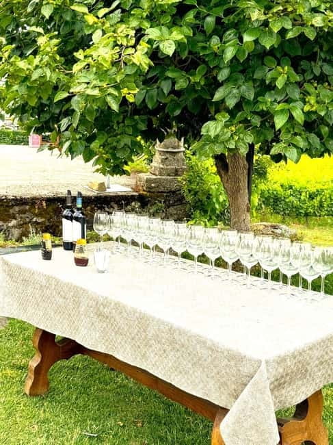 Porto: Douro Valley Tour with 3 Wineries and Lunch - The Big Picture: Why This Douro Day Works
