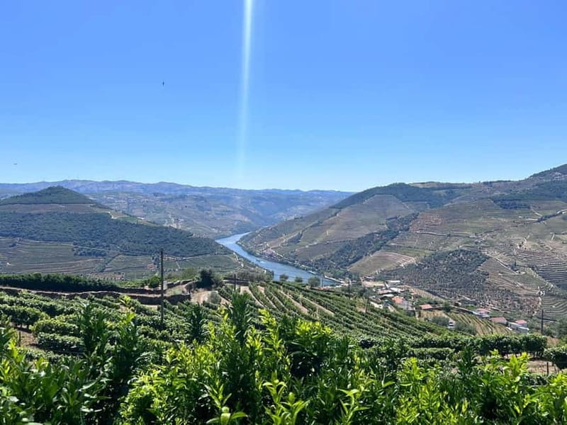 Porto: Douro Valley Tour with 3 Wineries and Lunch - From Trindade Metro to the Douro Valley: The Van Ride That Matters