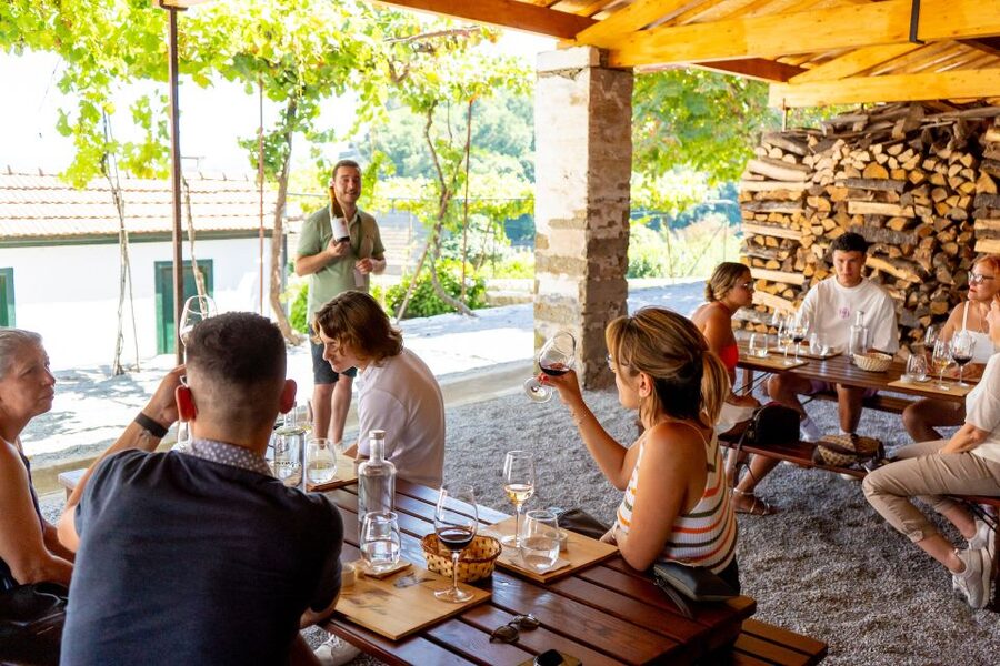 Porto: Douro Valley Tour with Lunch, Boat Cruise & Tastings - What the olive oil tasting adds (and why it feels different)