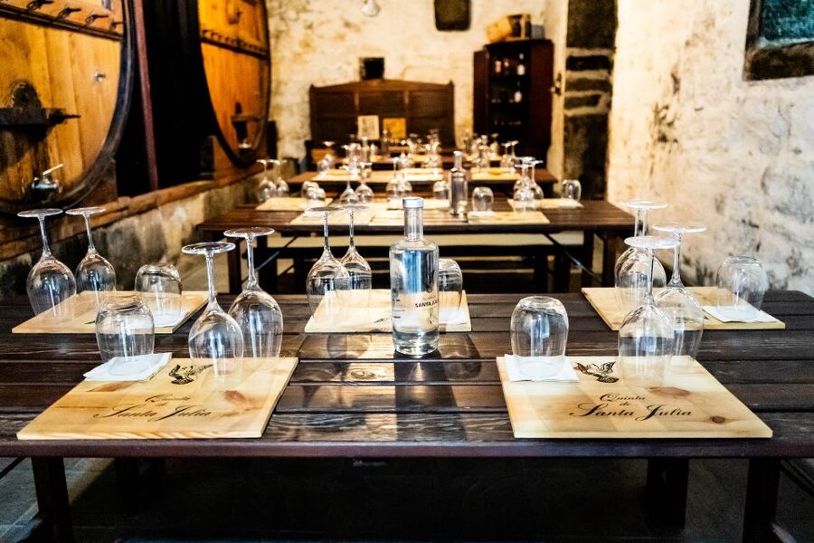 Porto: Douro Valley Tour with Lunch, Boat Cruise & Tastings - The big Douro River cruise: how to get the most from one hour