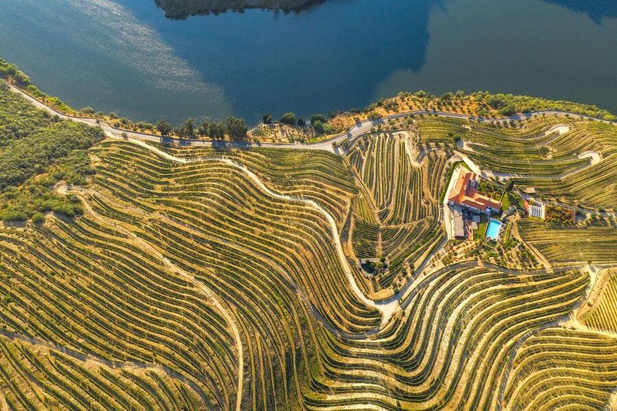 Porto: Douro Valley Tour with Lunch, Boat Cruise & Tastings - The Porto walking tour bonus, if you can fit it