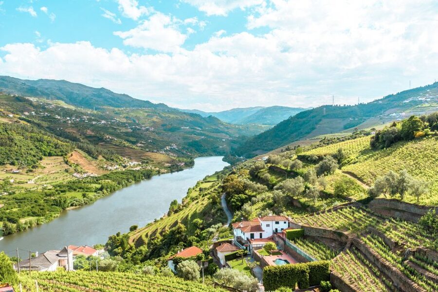 Porto: Douro Valley Tour with Wine Tasting, Cruise and Lunch - Quick hits: what makes this Douro day trip work