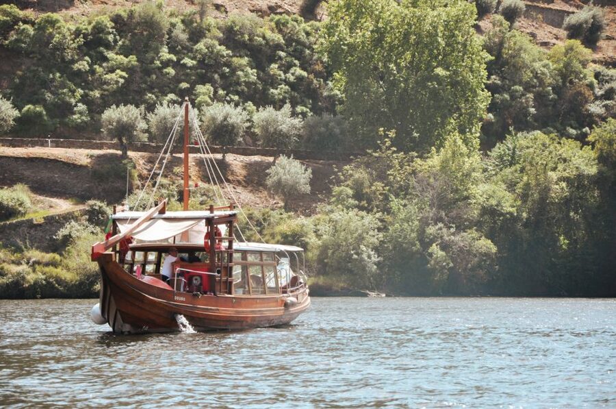 Porto: Douro Valley Tour with Wine Tasting, Cruise and Lunch - Bus rides, nausea risk, and how to stay comfortable