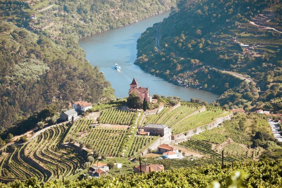 Porto: Douro Valley Tour with Wine Tasting, Cruise and Lunch - Stop 1 winery: Port production, vineyards, and your first tasting round