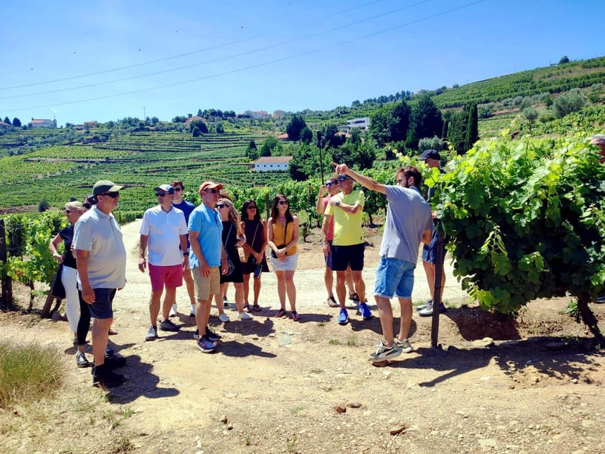 Porto: Douro Valley Vineyards Tour with Lunch & River Cruise - Key highlights to know before you go