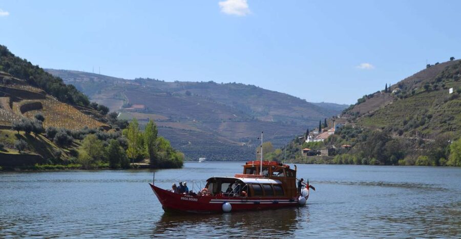 Porto: Douro Valley Vineyards Tour with Lunch & River Cruise - From Porto to Lamego, you trade city time for the real Douro mood