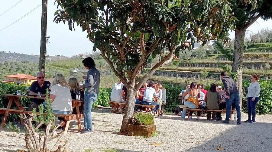 Porto: Douro Valley Vineyards Tour with Lunch & River Cruise - Guides, names you might recognize, and why it matters