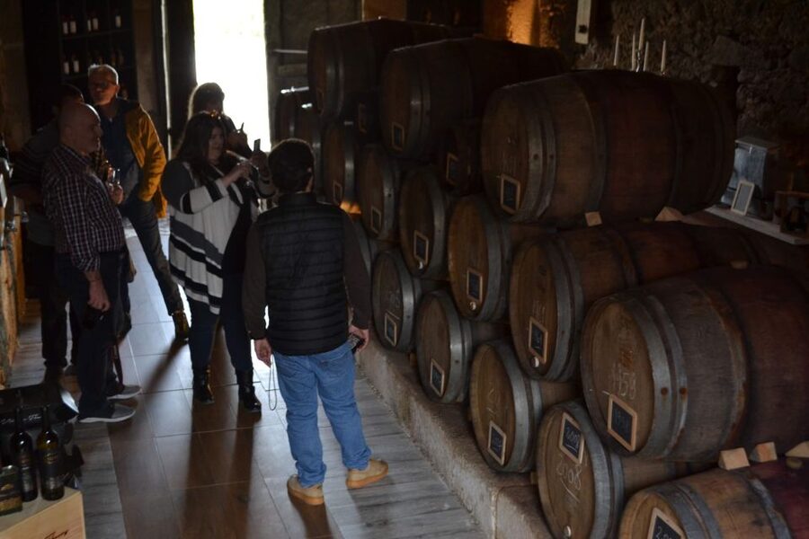 Porto: Douro Valley Vineyards Tour with Lunch & River Cruise - The Lamego wine tasting stop: your crash course on port