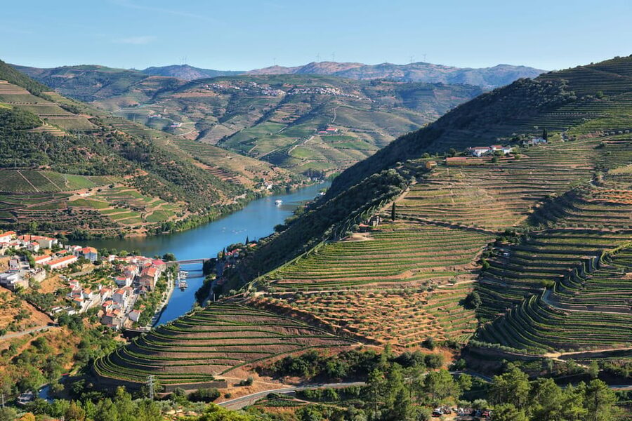 Porto: Douro Valley Wine Tour with a Sommelier & Boat Trip - From Porto to the Douro, in one well-timed day