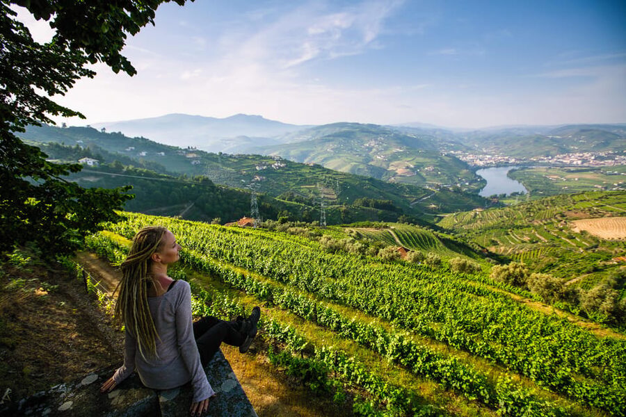 Porto: Douro Valley Wine Tour with a Sommelier & Boat Trip - The second quinta: fifth generation Port aging and the tastings that stick