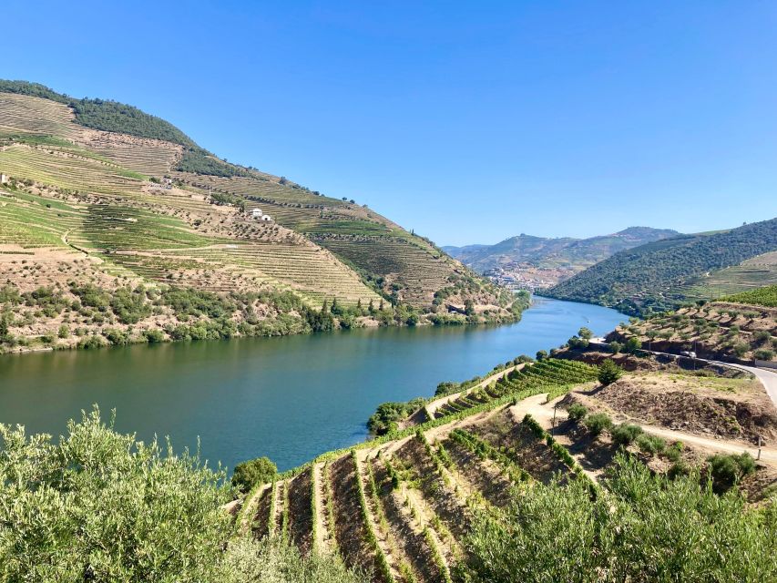 Porto: Douro Valley Wine Tour with Tastings, Boat, and Lunch - Key highlights I’d circle
