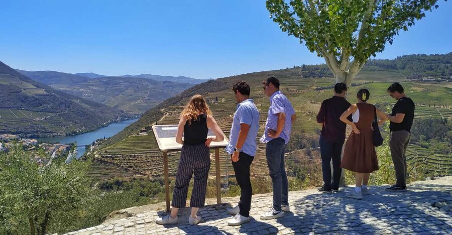 Porto: Douro Valley Wine Tour with Tastings, Boat, and Lunch - Guides and energy: why the best part is often the conversation