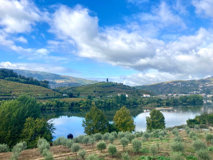 Porto: Douro Valley Wine Tour with Tastings, Boat, and Lunch - First winery stop: Port production, tastings, and the story behind the glass