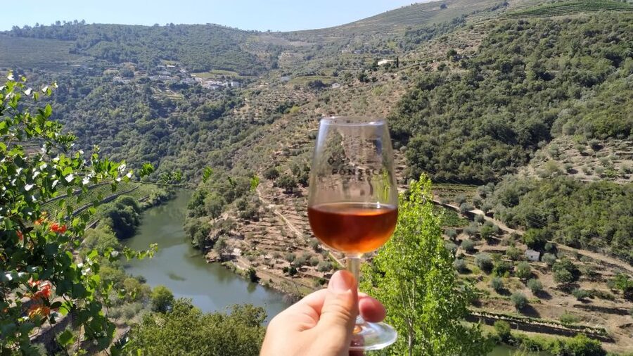 Porto: Douro Valley Wine Tour with Tastings, Boat, and Lunch - Port tastings after lunch: Vintage Port and the fun of comparison