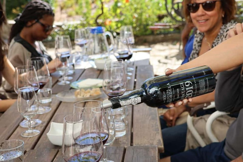 Porto: Douro Valley Wine Tour with Tastings, Lunch & Cruise - Key things that make this Douro tour worth your time