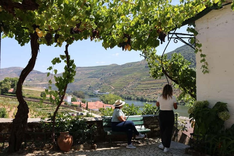 Porto: Douro Valley Wine Tour with Tastings, Lunch & Cruise - Guide quality: why the names you hear keep repeating