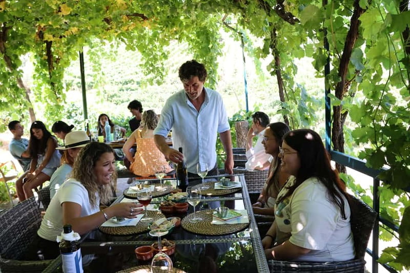 Porto: Douro Valley Wine Tour with Tastings, Lunch & Cruise - Pinhão and the Douro River cruise: the 1-hour view from the water