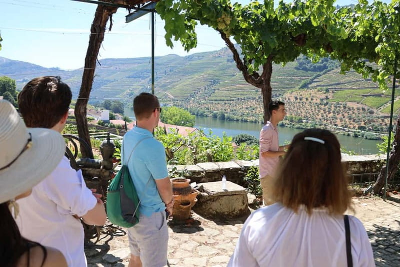Porto: Douro Valley Wine Tour with Tastings, Lunch & Cruise - N222 scenic drive: the road that turns the return trip into a highlight