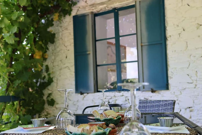 Porto: Douro Valley Wine Tour with Tastings, Lunch & Cruise - How long is the day, and who should choose 1 vs 2 wineries