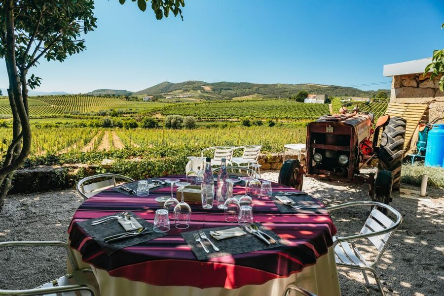 Porto: Douro Valley with Winery Lunch, Tastings & Cruise - The return to Porto on the N222 road