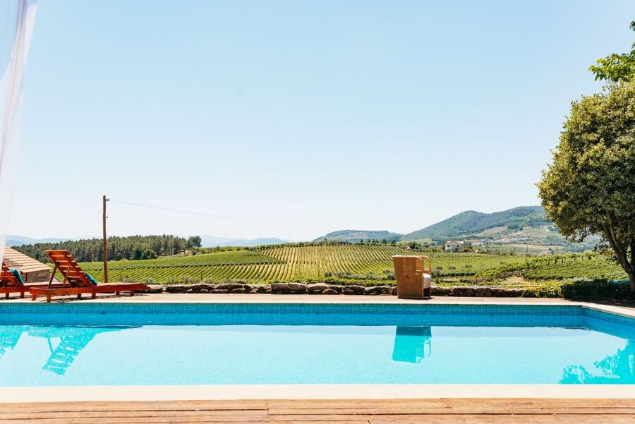 Porto: Douro Valley with Winery Lunch, Tastings & Cruise - The second winery estate: more tastings, more structure