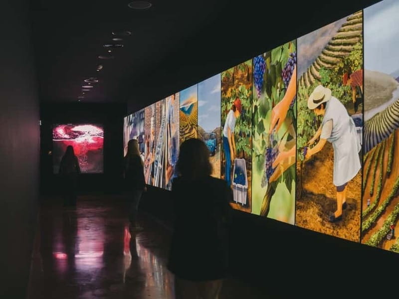 Porto: Fonseca Wine Cellar & WOW The Wine Experience - Inside WOW: The Wine Experience museum and its quick learning payoff