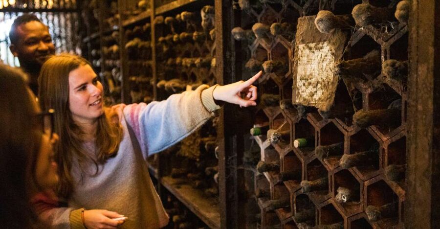 Porto: Food & Wine Tasting Walking Tour with Port Wine Cave - Bispo pastry: the sweet, regional start that makes everything click