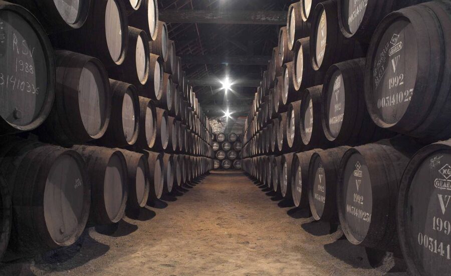 Porto: Graham's Port Lodge Tour & Vintage Room Wine Tasting - Who this tour fits best, and who might want to adjust expectations