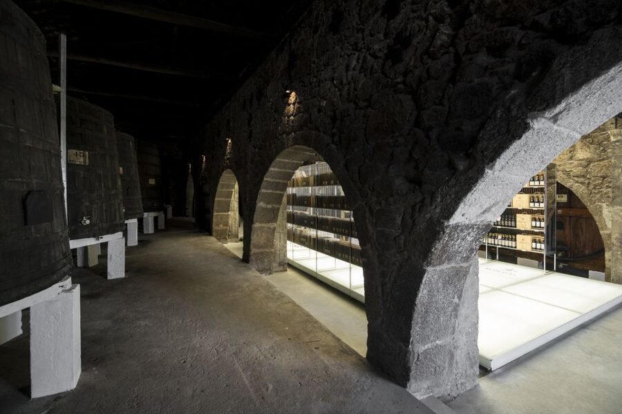 Porto: Guided City Walking Tour & Port Wine Cellar - The 4-Port Tasting: How to Taste Like You Mean It