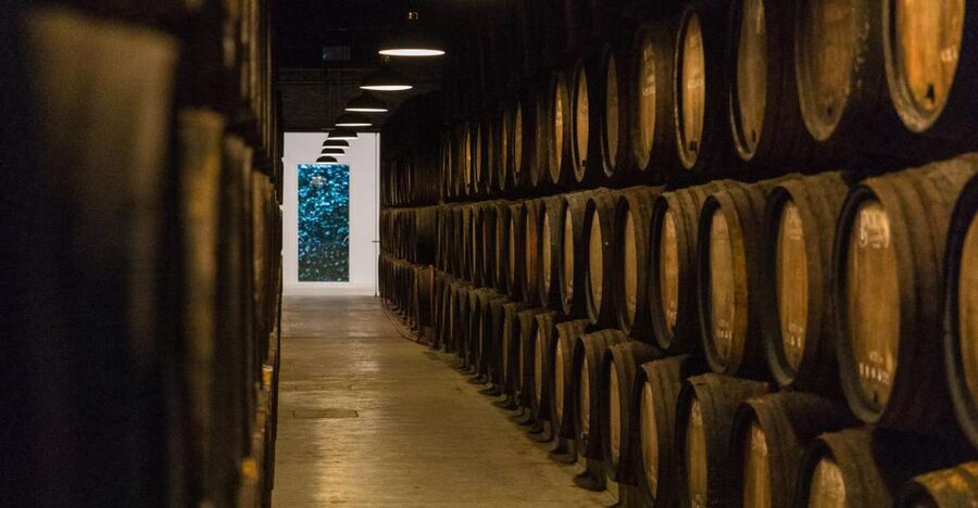 Porto: Guided Tour and Tasting of 3 Port Wines at Poças - Inside the ageing cellar, why Port develops the way it does