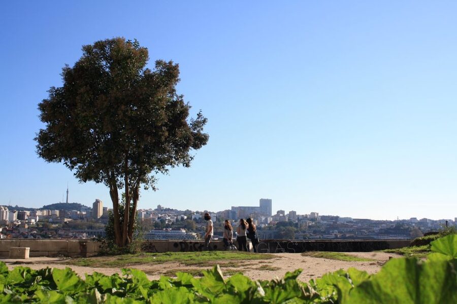 Porto: Half-Day Jewish Tour - Porto’s Jewish Quarter in 3 hours: how the route stays focused