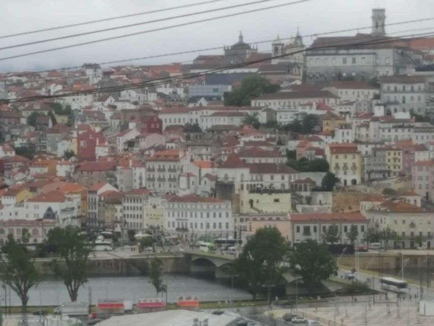 Porto: Half-Day Small Group City Tour with port wine tasting - Price and logistics: what $89 really covers