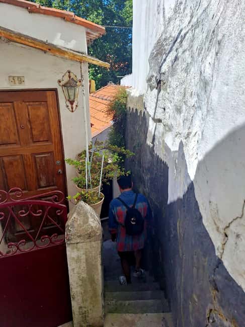 Porto: Jewish Heritage Walking Tour - Captain Arthur Carlos de Barros Basto and the Kadoorie Mekor Haim link