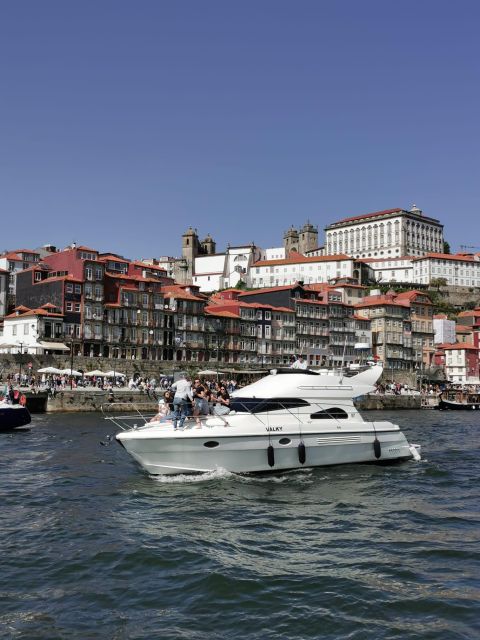Porto: Luxury Yacht Tour of the 6 Bridges and Douro Estuary - Arrábida Bridge to Palácio de Cristal gardens: the city at a slower tempo