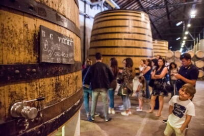 Magic Train Tour and Port Wine Cellar with Tastings