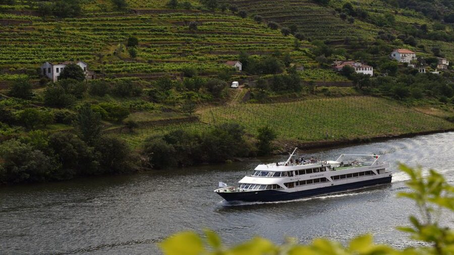 Porto/Pinhão/Porto - Should You Book This Porto to Pinhão Douro Day Cruise?