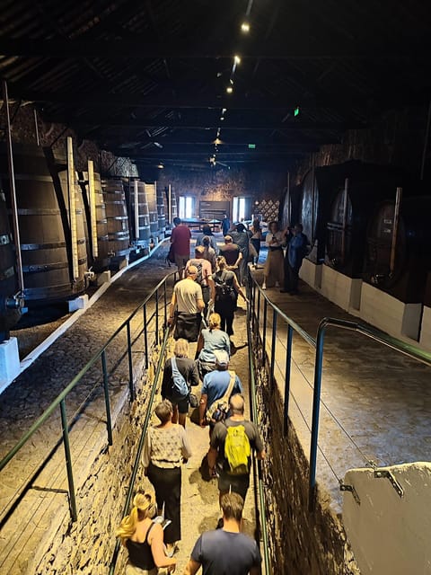 Porto: Port and Douro Wine Walking Tour with 9 Tastings - The 3-hour walking rhythm, and how to keep it comfortable
